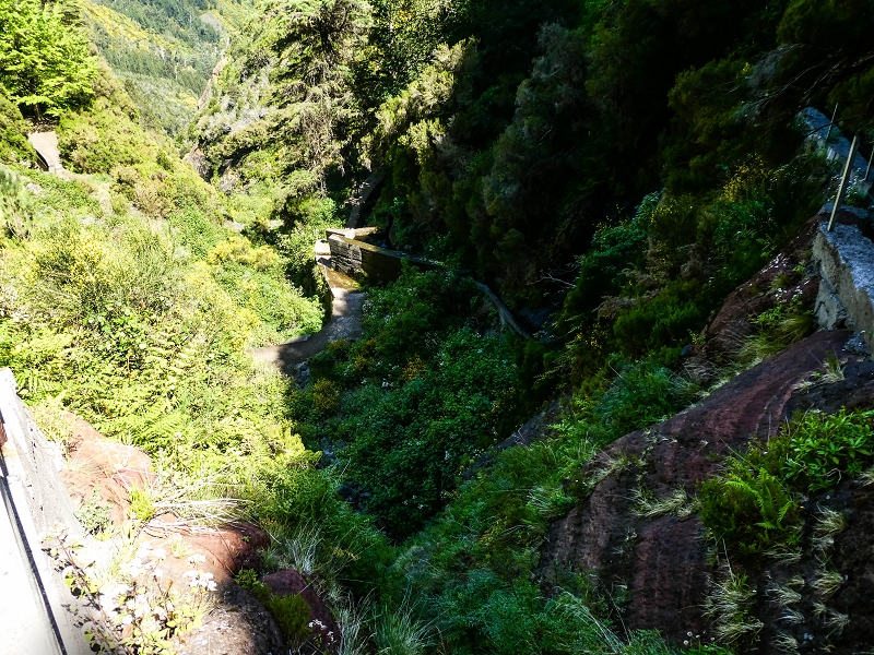 15.05.2019 Wenn ich schon mal hier bin: Levada das Rabacas — Kletterei auf der Bacherbauung — Foto 2