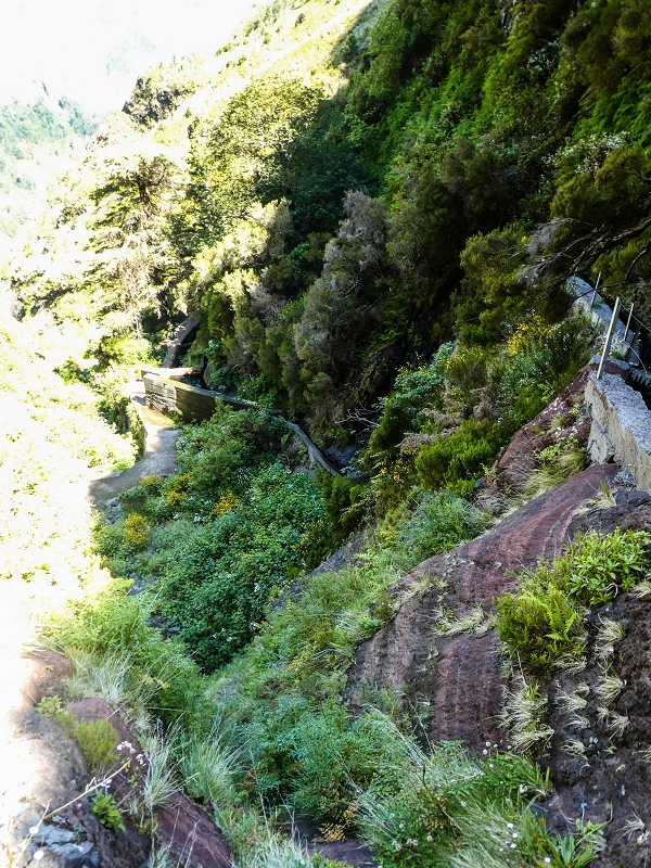 15.05.2019 Wenn ich schon mal hier bin: Levada das Rabacas — Kletterei auf der Bacherbauung — Foto 3