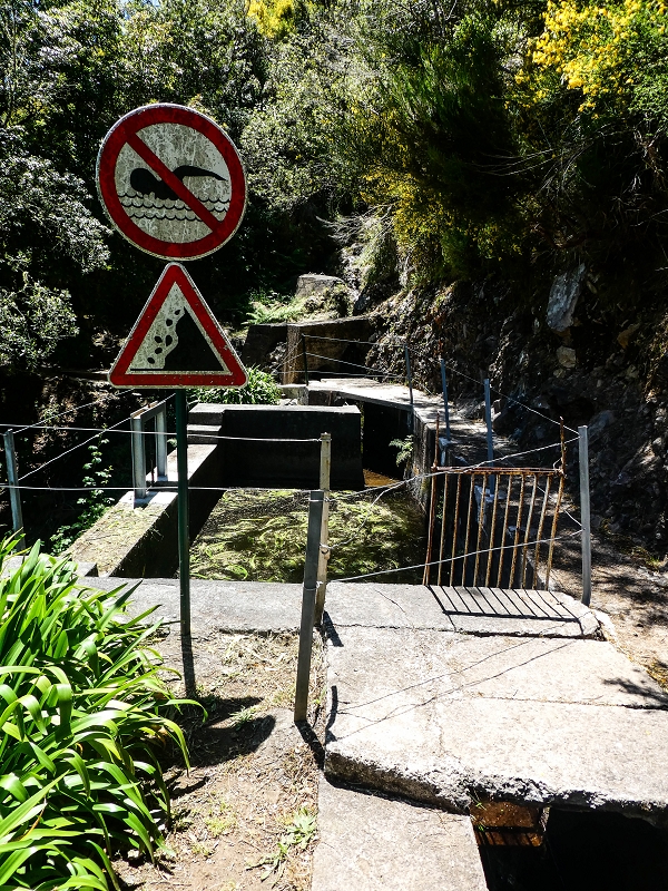 Levada das Rabacas — : Bis zum Zusammenfluss mit der Levada do Norte zum  — photo 7