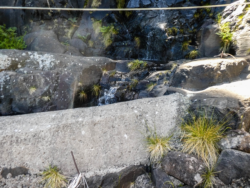15.05.2019 Wenn ich schon mal hier bin: Levada das Rabacas — Kletterei auf der Bacherbauung — Foto 4