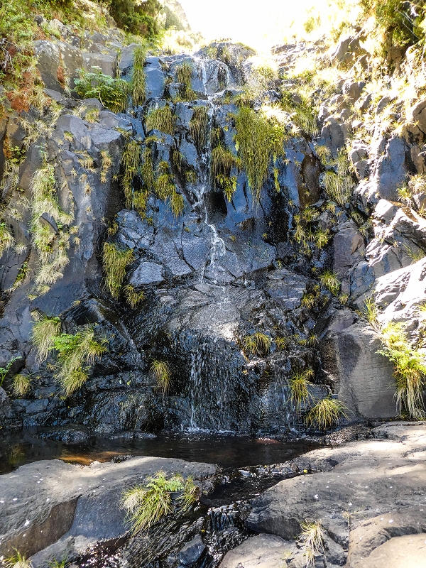 15.05.2019 Wenn ich schon mal hier bin: Levada das Rabacas — Kletterei auf der Bacherbauung — Foto 7
