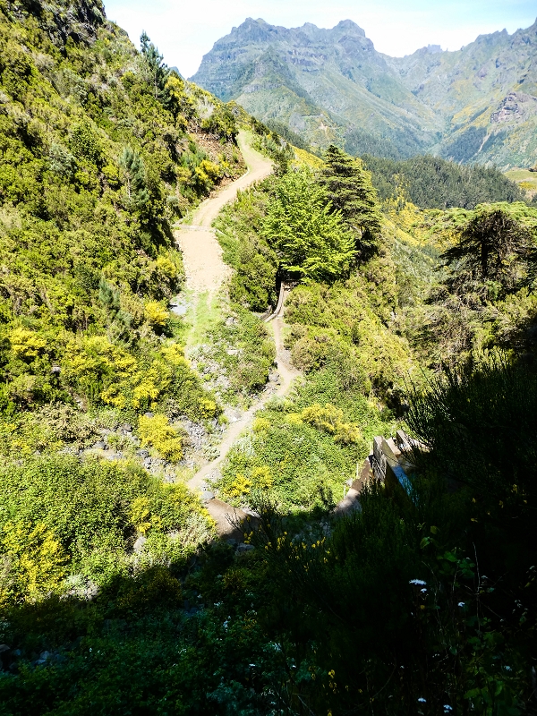 Levada das Rabacas — : Bachverbauung im Ribeiro do Choca — photo 5
