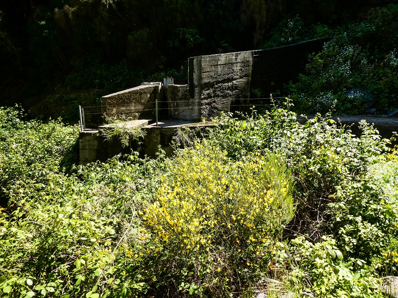 15.05.2019 Wenn ich schon mal hier bin: Levada das Rabacas — Kletterei auf der Bacherbauung — Foto 12