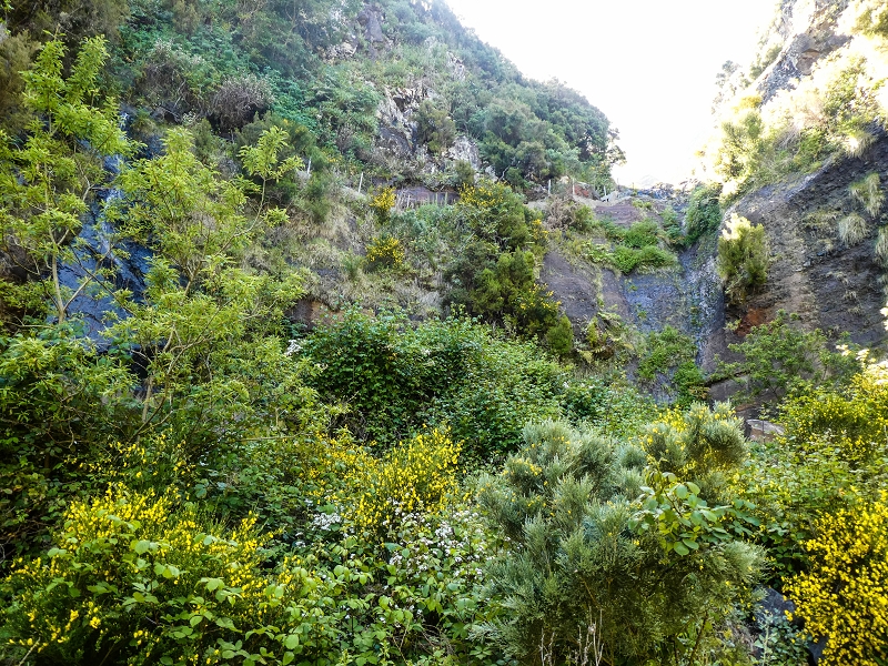 Levada das Rabacas — : Bachverbauung im Ribeiro do Choca — photo 1