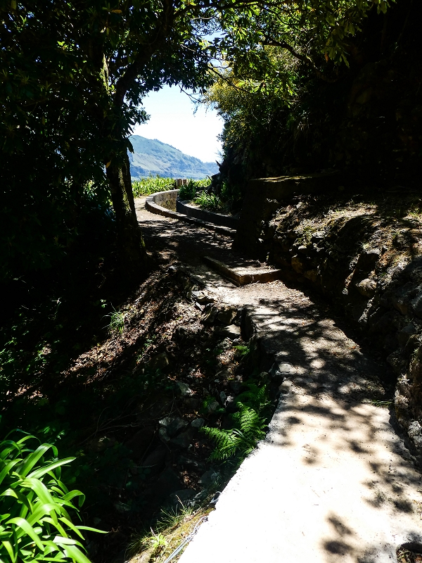 15.05.2019 Wenn ich schon mal hier bin: Levada das Rabacas — Auf der Levada das Rabacas bis zum kurzen Tunnel — Foto 8