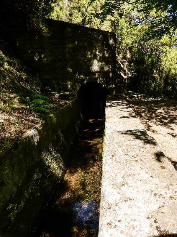 15.05.2019 Wenn ich schon mal hier bin: Levada das Rabacas — Zurück zum Encumeada-Pass — Foto 1