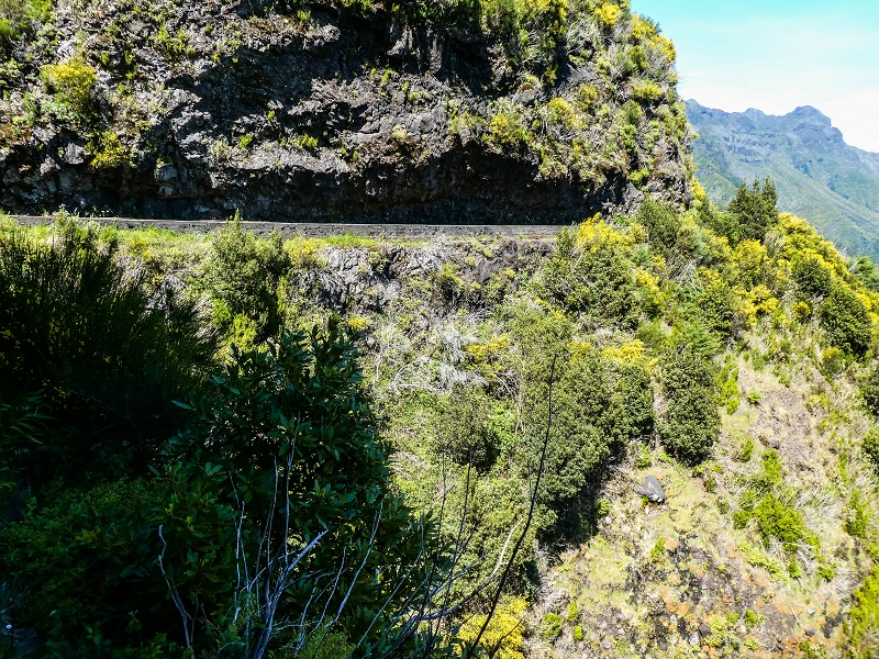 15.05.2019 Wenn ich schon mal hier bin: Levada das Rabacas — Zurück zum Encumeada-Pass — Foto 3
