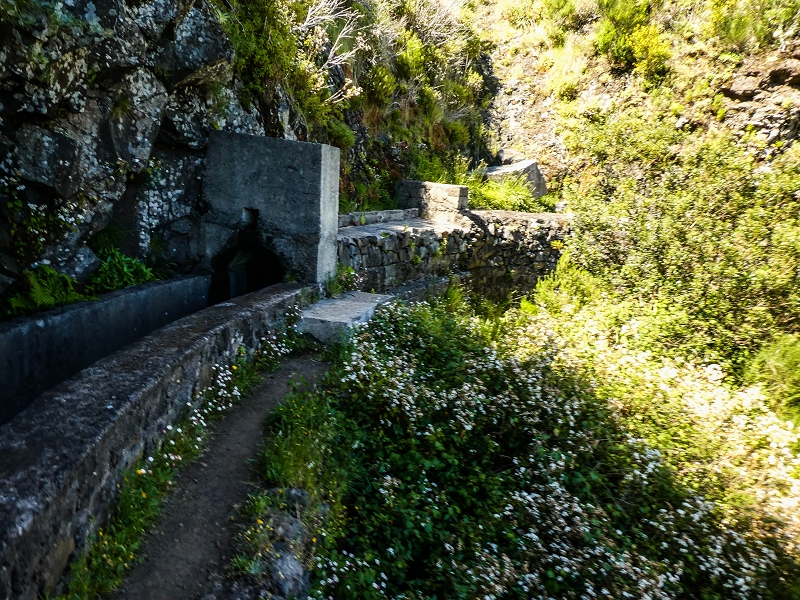 Levada das Rabacas — : Bis zum Zusammenfluss mit der Levada do Norte zum  — photo 6