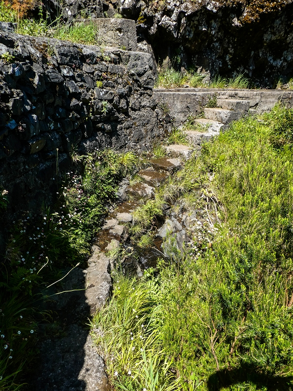 15.05.2019 Wenn ich schon mal hier bin: Levada das Rabacas — Zurück zum Encumeada-Pass — Foto 5