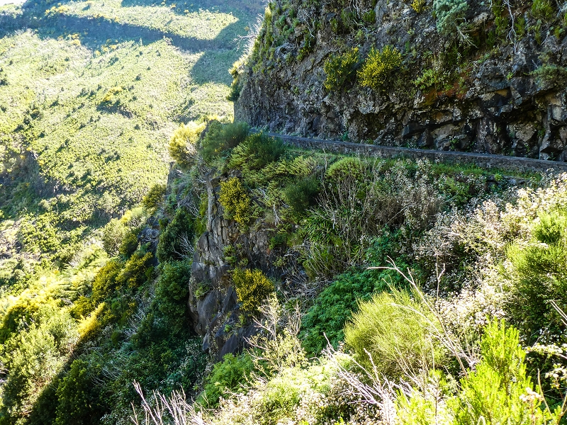 Levada das Rabacas — : Bis zum Zusammenfluss mit der Levada do Norte zum  — photo 2