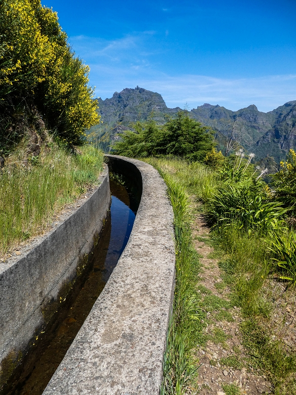 15.05.2019 Wenn ich schon mal hier bin: Levada das Rabacas — Zurück zum Encumeada-Pass — Foto 8