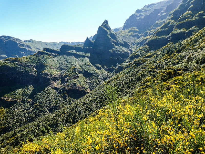 15.05.2019 Wenn ich schon mal hier bin: Levada das Rabacas — Zurück zum Encumeada-Pass — Foto 10