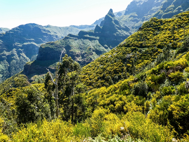 15.05.2019 Wenn ich schon mal hier bin: Levada das Rabacas — Zurück zum Encumeada-Pass — Foto 13