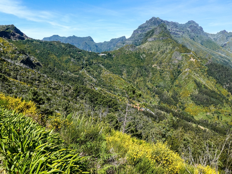 15.05.2019 Wenn ich schon mal hier bin: Levada das Rabacas — Zurück zum Encumeada-Pass — Foto 14
