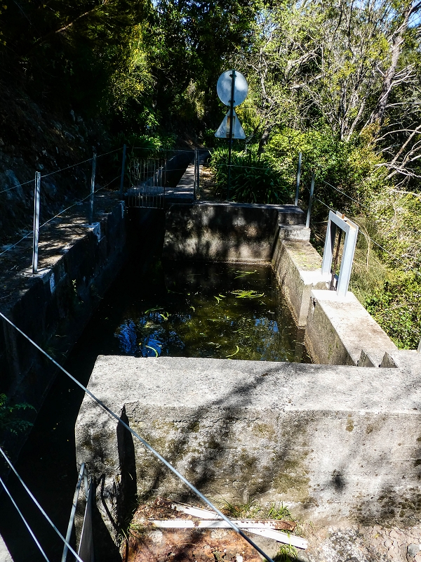 15.05.2019 Wenn ich schon mal hier bin: Levada das Rabacas — Zurück zum Encumeada-Pass — Foto 16