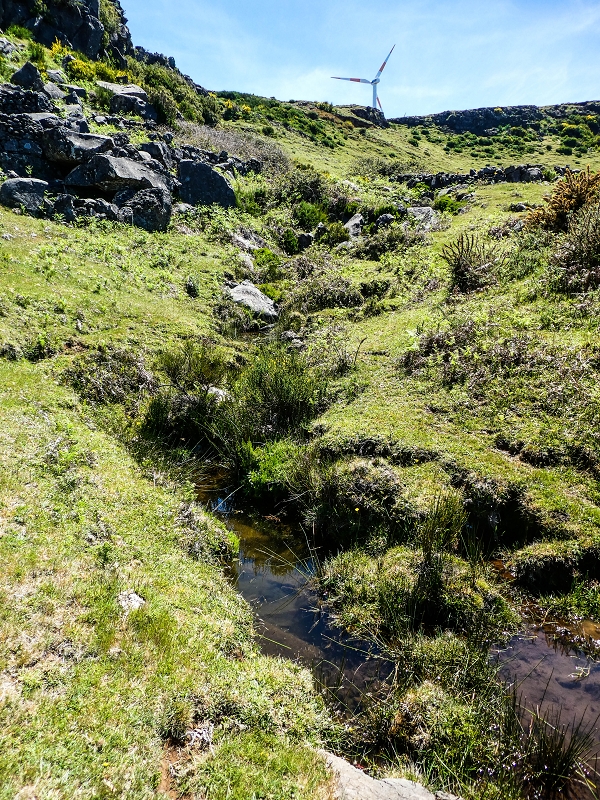 15.05.2019 Endlich mal zum Stonehenge, mit weiteren Levadaerforschungen — Bach/Levada vom Stonehenge direkt zur Levada da Serra — Foto 1