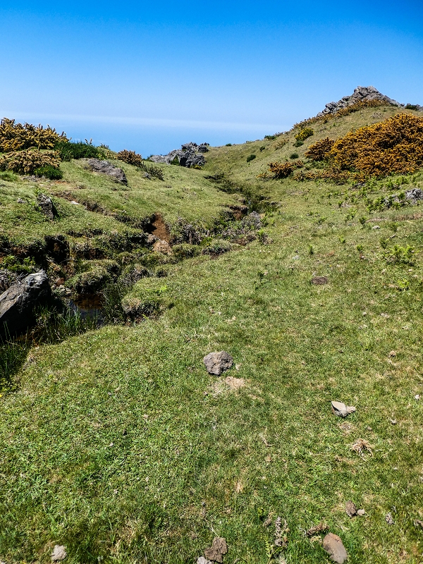 15.05.2019 Endlich mal zum Stonehenge, mit weiteren Levadaerforschungen — Bach/Levada vom Stonehenge direkt zur Levada da Serra — Foto 2