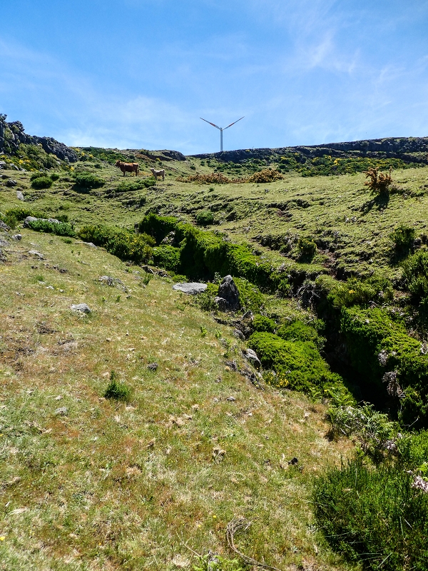 15.05.2019 Endlich mal zum Stonehenge, mit weiteren Levadaerforschungen — Bach/Levada vom Stonehenge direkt zur Levada da Serra — Foto 3