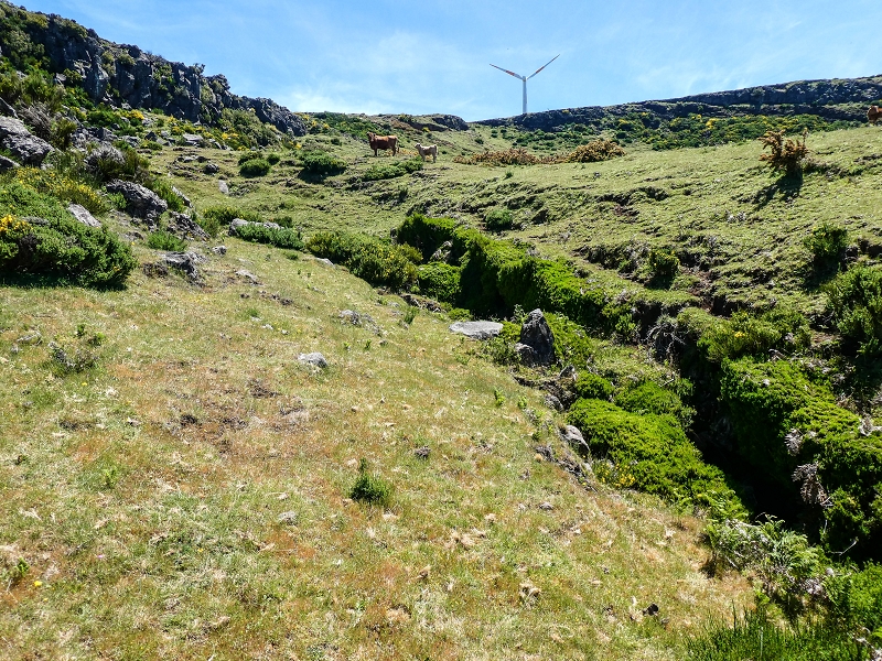 15.05.2019 Endlich mal zum Stonehenge, mit weiteren Levadaerforschungen — Bach/Levada vom Stonehenge direkt zur Levada da Serra — Foto 4
