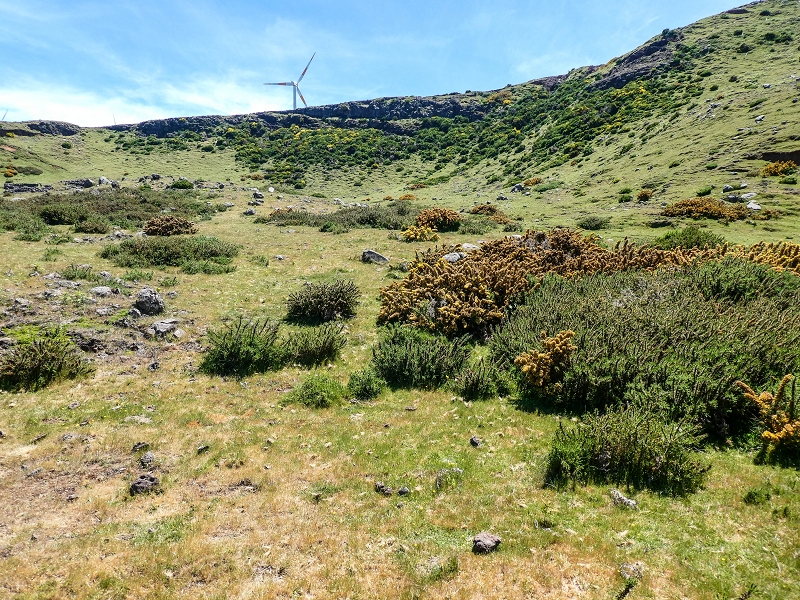 15.05.2019 Endlich mal zum Stonehenge, mit weiteren Levadaerforschungen — Auf dem Weg und der Levadinha zur Levada da Serra — Foto 2