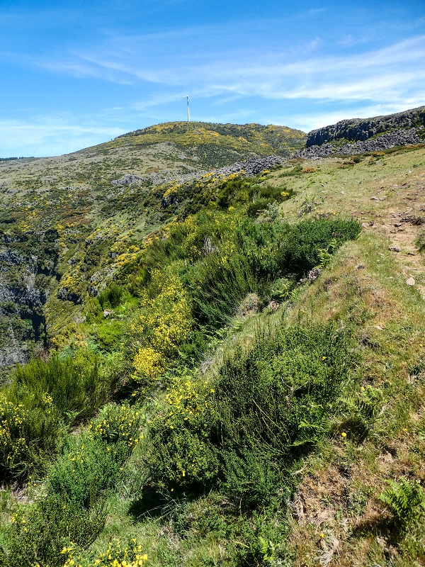 15.05.2019 Endlich mal zum Stonehenge, mit weiteren Levadaerforschungen — Auf dem Weg und der Levadinha zur Levada da Serra — Foto 3