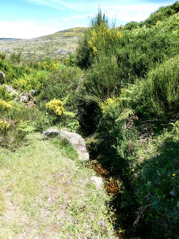 15.05.2019 Endlich mal zum Stonehenge, mit weiteren Levadaerforschungen — Auf dem Weg und der Levadinha zur Levada da Serra — Foto 4