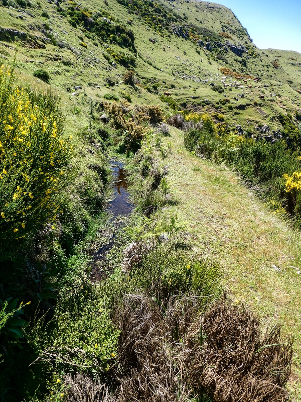 15.05.2019 Endlich mal zum Stonehenge, mit weiteren Levadaerforschungen — Auf dem Weg und der Levadinha zur Levada da Serra — Foto 5