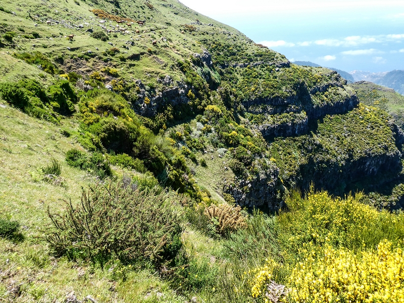 15.05.2019 Endlich mal zum Stonehenge, mit weiteren Levadaerforschungen — Auf dem Weg und der Levadinha zur Levada da Serra — Foto 6
