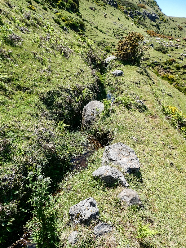 15.05.2019 Endlich mal zum Stonehenge, mit weiteren Levadaerforschungen — Auf dem Weg und der Levadinha zur Levada da Serra — Foto 7