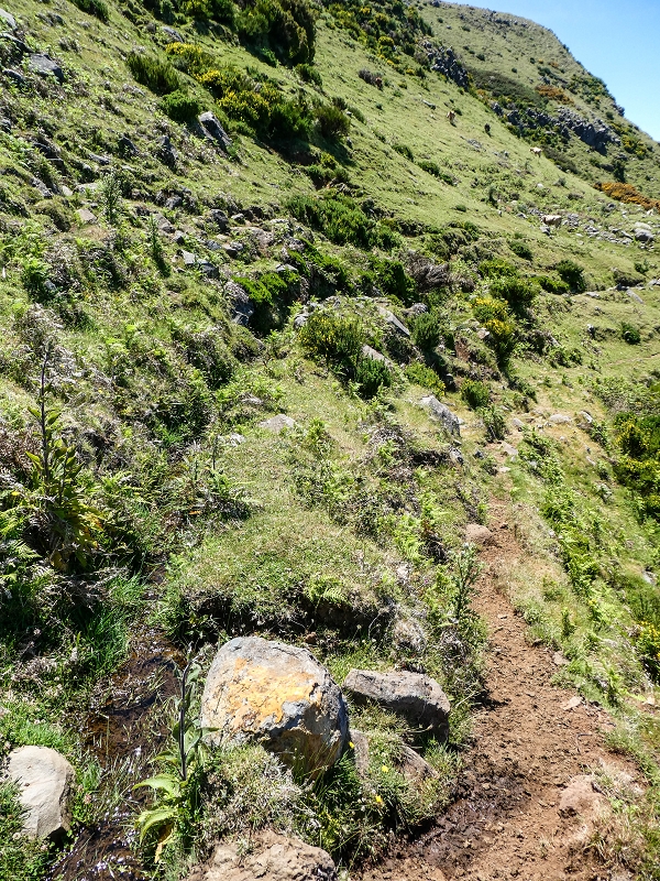 15.05.2019 Endlich mal zum Stonehenge, mit weiteren Levadaerforschungen — Auf dem Weg und der Levadinha zur Levada da Serra — Foto 8