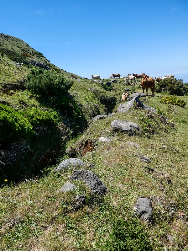 15.05.2019 Endlich mal zum Stonehenge, mit weiteren Levadaerforschungen — Auf dem Weg und der Levadinha zur Levada da Serra — Foto 10