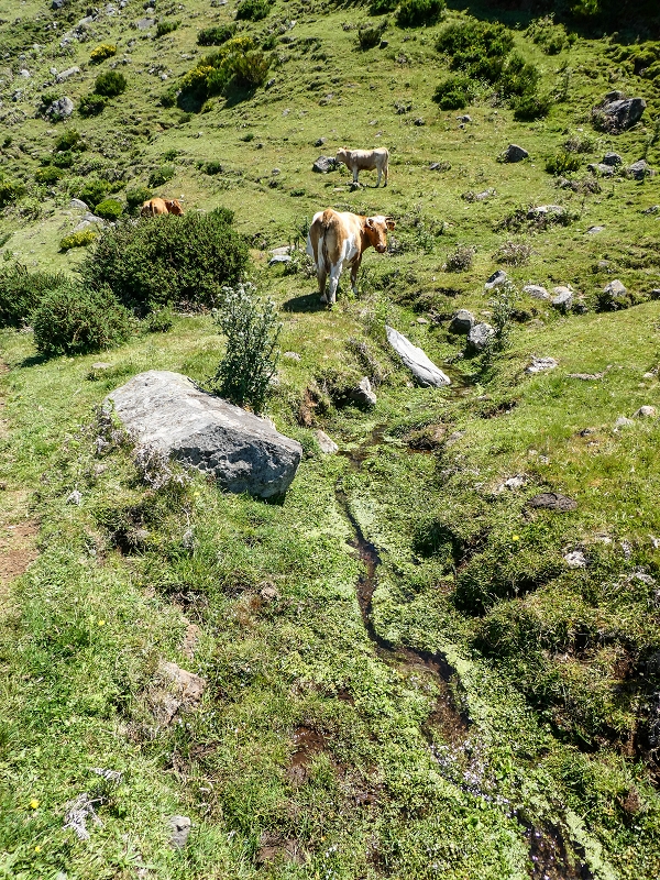 15.05.2019 Endlich mal zum Stonehenge, mit weiteren Levadaerforschungen — Auf dem Weg und der Levadinha zur Levada da Serra — Foto 12