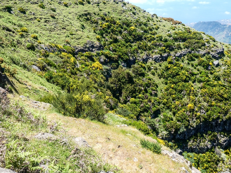 15.05.2019 Endlich mal zum Stonehenge, mit weiteren Levadaerforschungen — Auf dem Weg und der Levadinha zur Levada da Serra — Foto 14