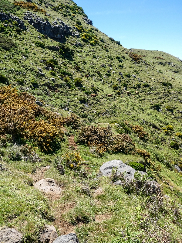 15.05.2019 Endlich mal zum Stonehenge, mit weiteren Levadaerforschungen — Auf dem Weg und der Levadinha zur Levada da Serra — Foto 15