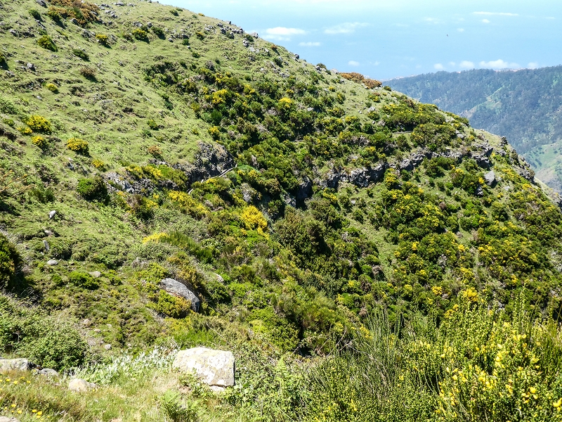 15.05.2019 Endlich mal zum Stonehenge, mit weiteren Levadaerforschungen — Auf dem Weg und der Levadinha zur Levada da Serra — Foto 17
