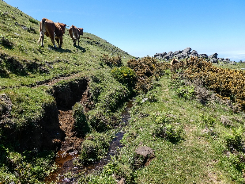 15.05.2019 Endlich mal zum Stonehenge, mit weiteren Levadaerforschungen — Auf dem Weg und der Levadinha zur Levada da Serra — Foto 20
