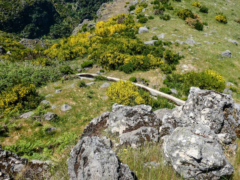 15.05.2019 Endlich mal zum Stonehenge, mit weiteren Levadaerforschungen — Auf dem Weg und der Levadinha zur Levada da Serra — Foto 23