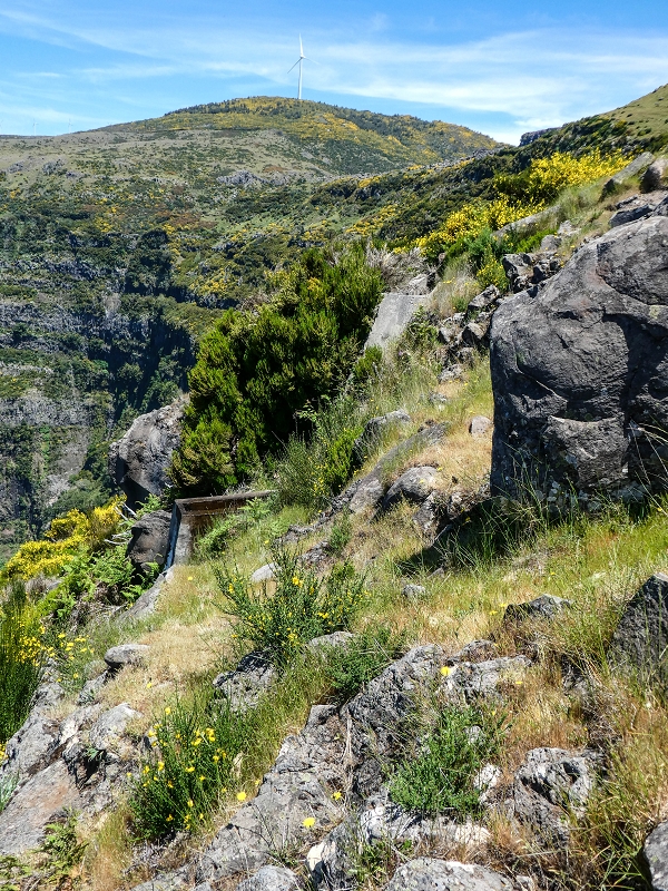 15.05.2019 Endlich mal zum Stonehenge, mit weiteren Levadaerforschungen — Auf der Levada da Serra zur Abbruchstelle und zurück zum Weg — Foto 2