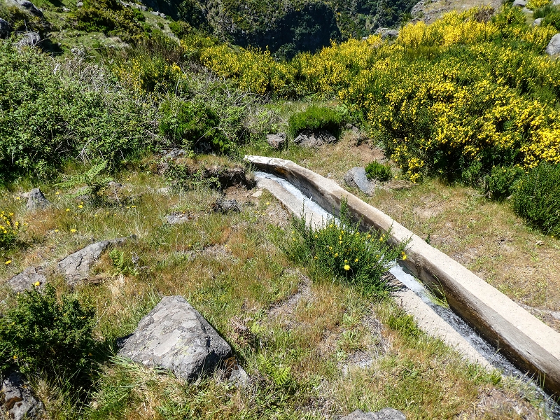 15.05.2019 Endlich mal zum Stonehenge, mit weiteren Levadaerforschungen — Weiterverlauf der Levada da Serra im Ginster — Foto 1