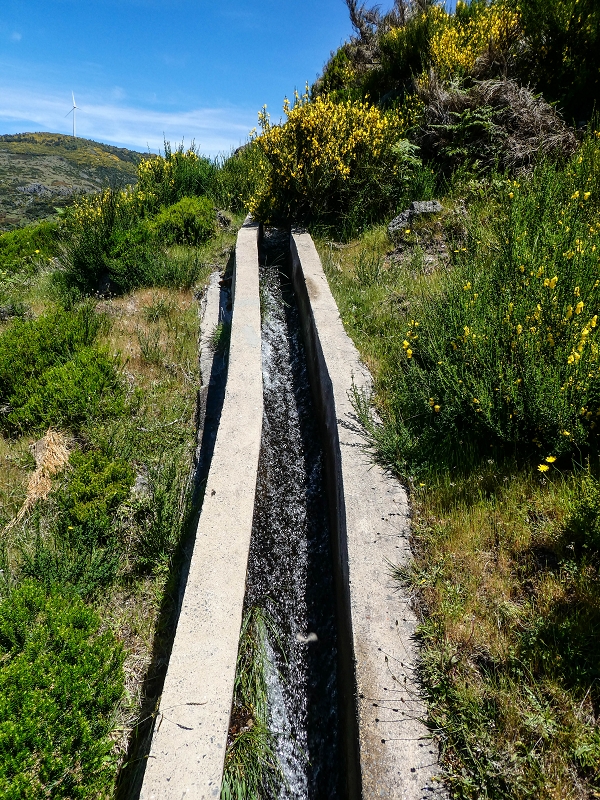 15.05.2019 Endlich mal zum Stonehenge, mit weiteren Levadaerforschungen — Auf der Levada da Serra zur Abbruchstelle und zurück zum Weg — Foto 1