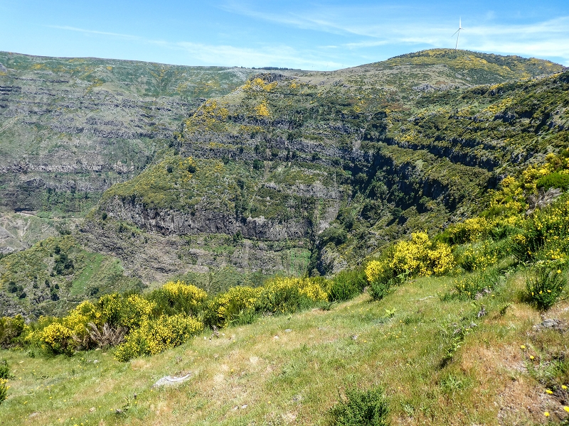15.05.2019 Endlich mal zum Stonehenge, mit weiteren Levadaerforschungen — Weiterverlauf der Levada da Serra im Ginster — Foto 2