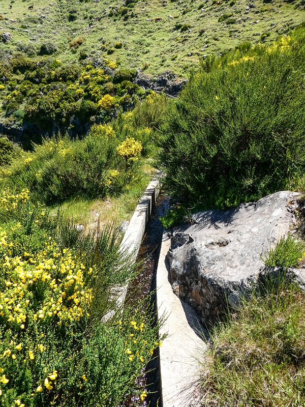 15.05.2019 Endlich mal zum Stonehenge, mit weiteren Levadaerforschungen — Auf der Levada da Serra zur Abbruchstelle und zurück zum Weg — Foto 8