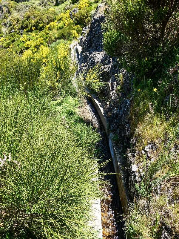 15.05.2019 Endlich mal zum Stonehenge, mit weiteren Levadaerforschungen — Auf der Levada da Serra zur Abbruchstelle und zurück zum Weg — Foto 10
