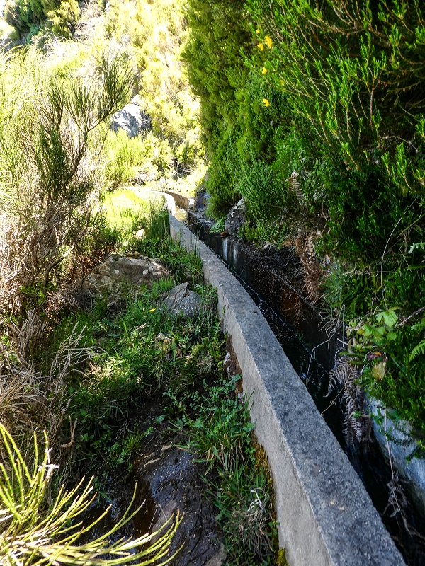 15.05.2019 Endlich mal zum Stonehenge, mit weiteren Levadaerforschungen — Auf der Levada da Serra zur Abbruchstelle und zurück zum Weg — Foto 11