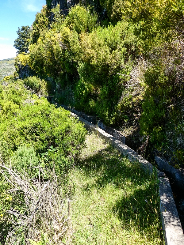 15.05.2019 Endlich mal zum Stonehenge, mit weiteren Levadaerforschungen — Auf der Levada da Serra zur Abbruchstelle und zurück zum Weg — Foto 12
