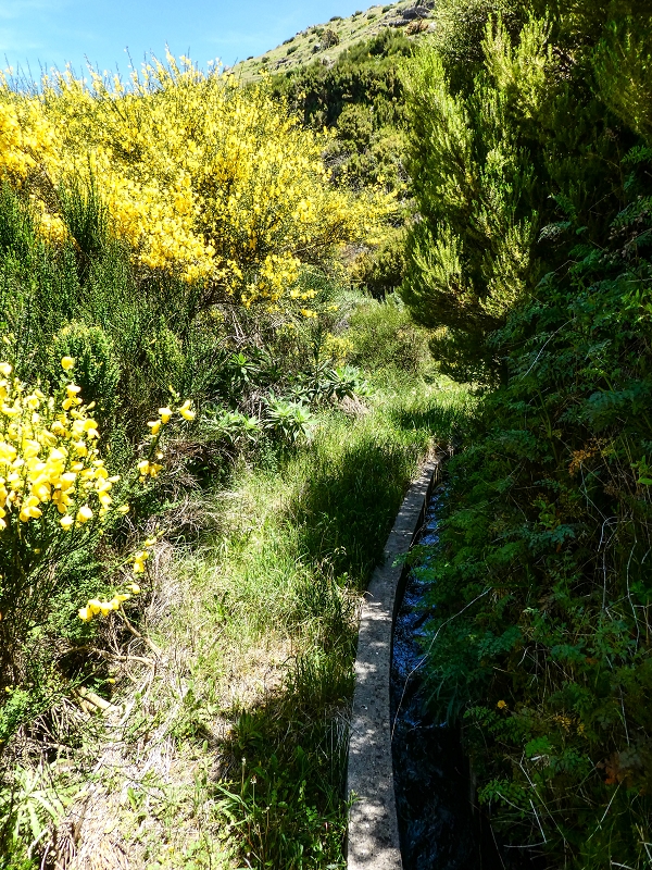 15.05.2019 Endlich mal zum Stonehenge, mit weiteren Levadaerforschungen — Auf der Levada da Serra zur Abbruchstelle und zurück zum Weg — Foto 15