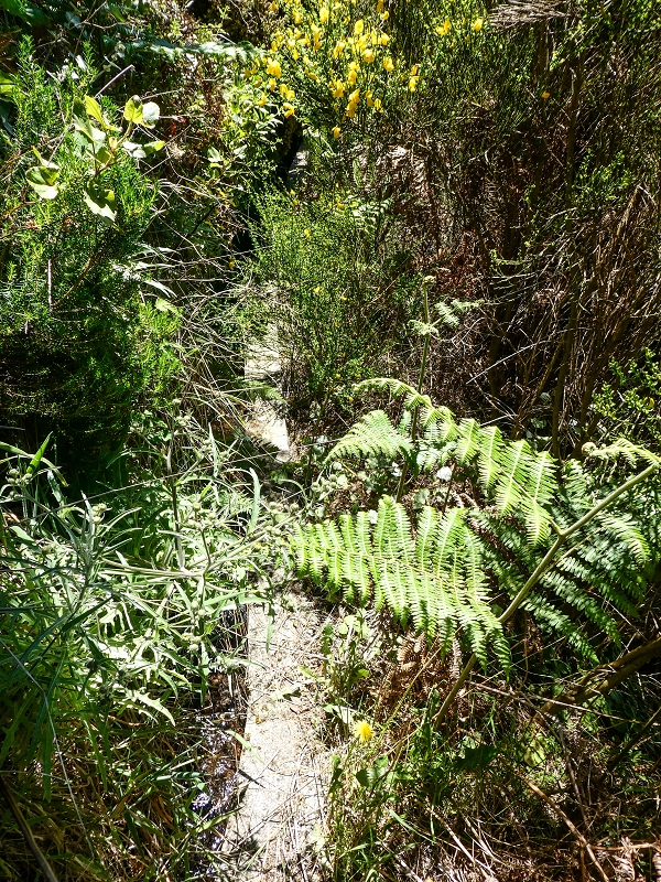 15.05.2019 Endlich mal zum Stonehenge, mit weiteren Levadaerforschungen — Auf der Levada da Serra zur Abbruchstelle und zurück zum Weg — Foto 19