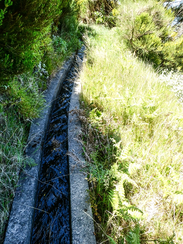 15.05.2019 Endlich mal zum Stonehenge, mit weiteren Levadaerforschungen — Auf der Levada da Serra zur Abbruchstelle und zurück zum Weg — Foto 20