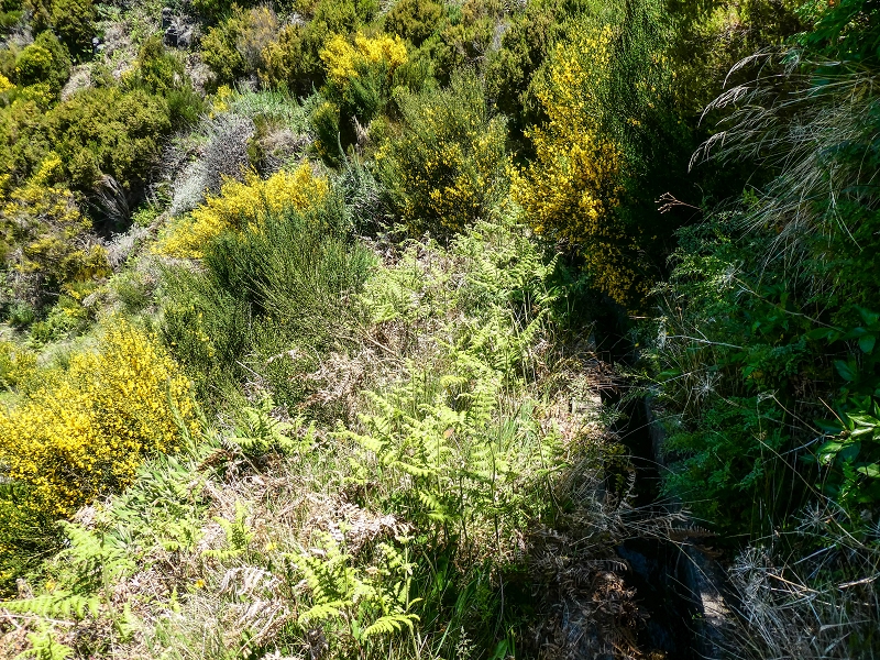 (da Ponta do Sol) — Do ponto de derrocada às cascatas e ao troço impraticável — foto 4