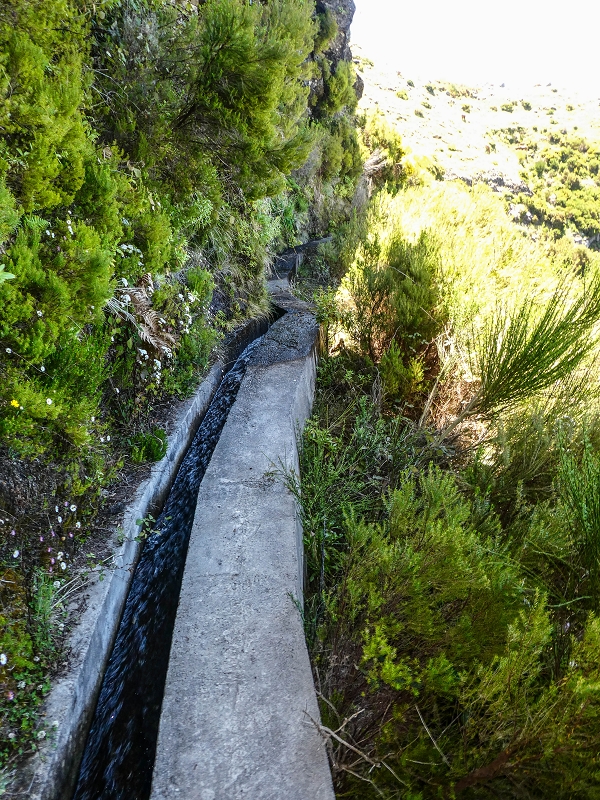 15.05.2019 Endlich mal zum Stonehenge, mit weiteren Levadaerforschungen — Auf der Levada da Serra zur Abbruchstelle und zurück zum Weg — Foto 24